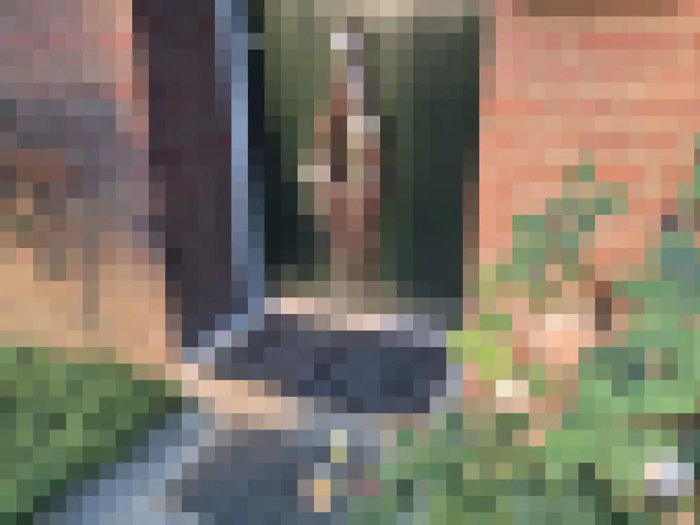 Rijksstraatweg 49 Lomm thumbnail 7
