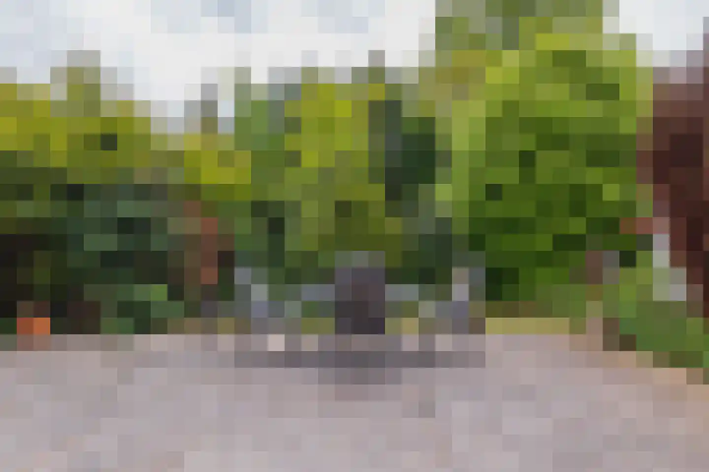 Rijksstraatweg 54 Bennebroek thumbnail 20