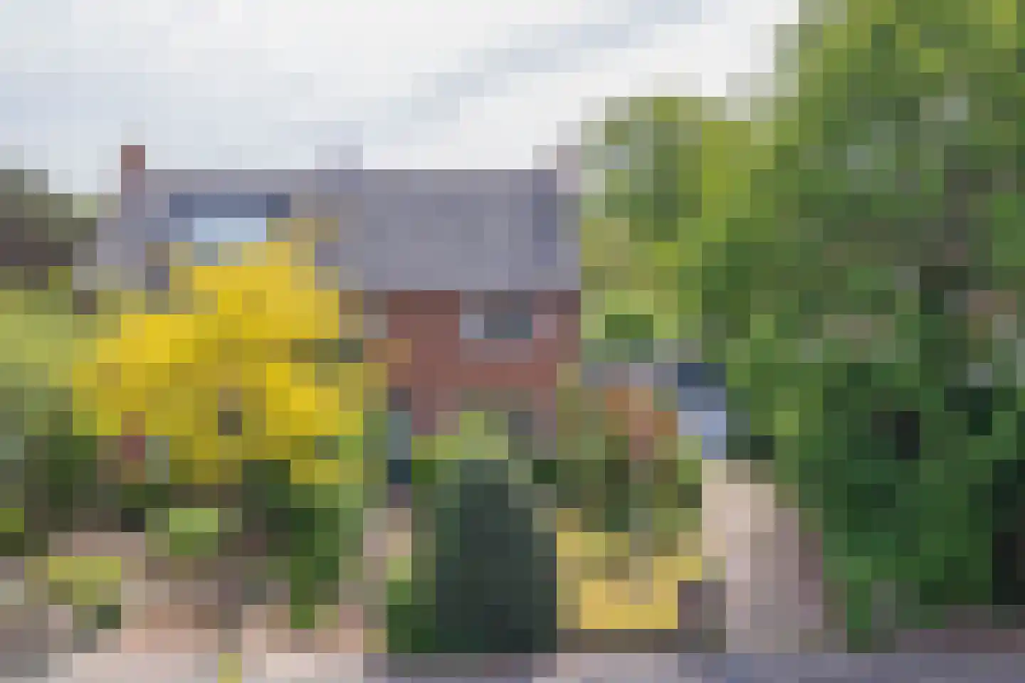 Rijksstraatweg 54 Bennebroek thumbnail 5
