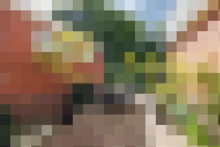 Rijksstraatweg 55 Glimmen thumbnail 23