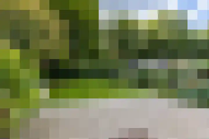 Rijksstraatweg 55 Glimmen thumbnail 25