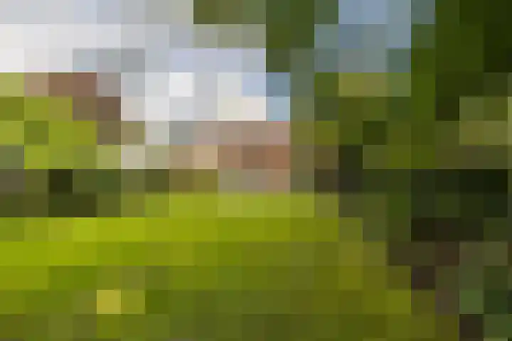 Rijksstraatweg 55 Glimmen thumbnail 29