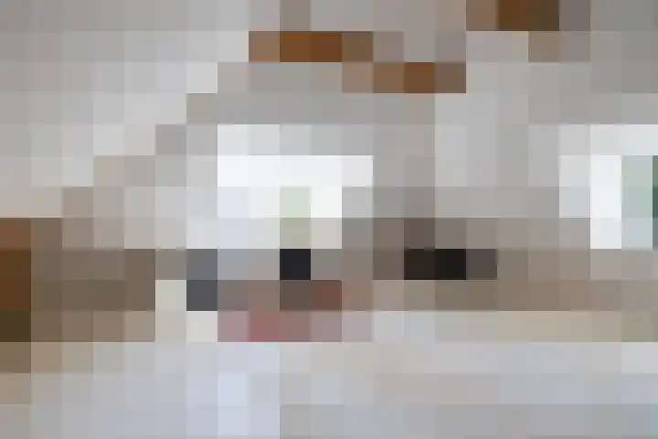 Rijksstraatweg 55 Glimmen thumbnail 40