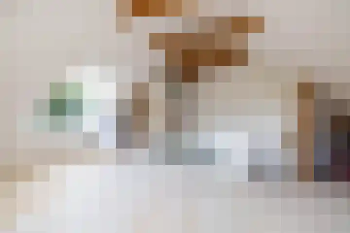 Rijksstraatweg 55 Glimmen thumbnail 42