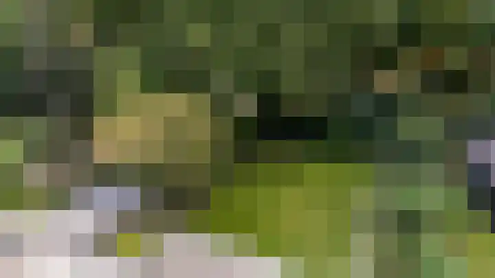 Rijksstraatweg 55 Glimmen thumbnail 43