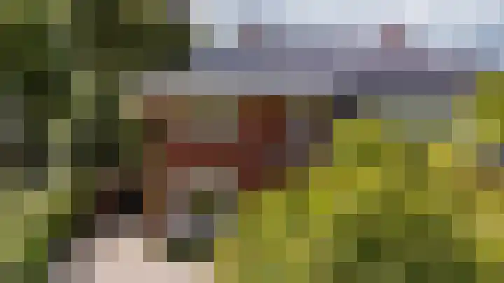 Rijksstraatweg 55 Glimmen thumbnail 45
