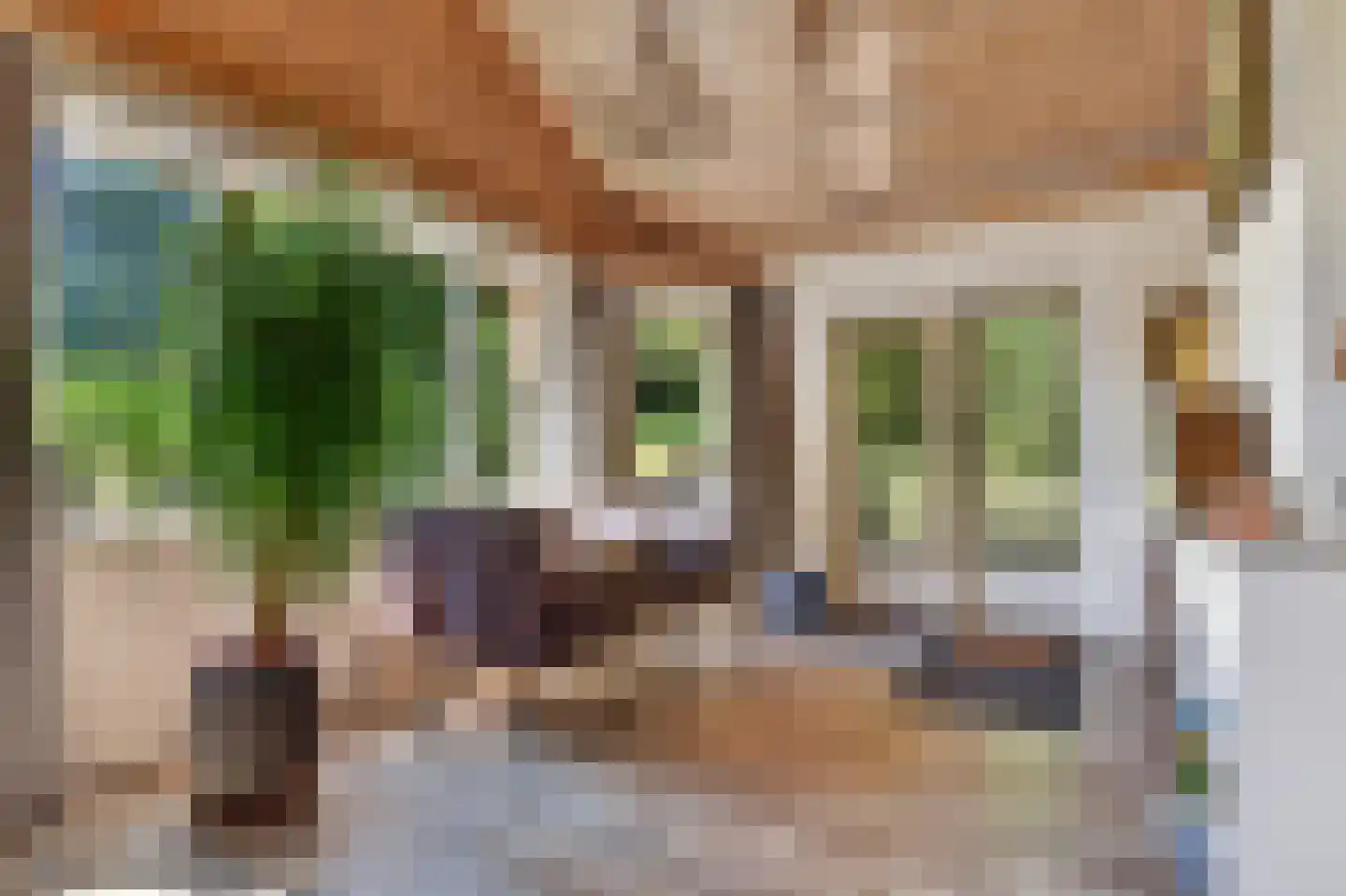 Rijksstraatweg 56 b Ubbergen thumbnail 21