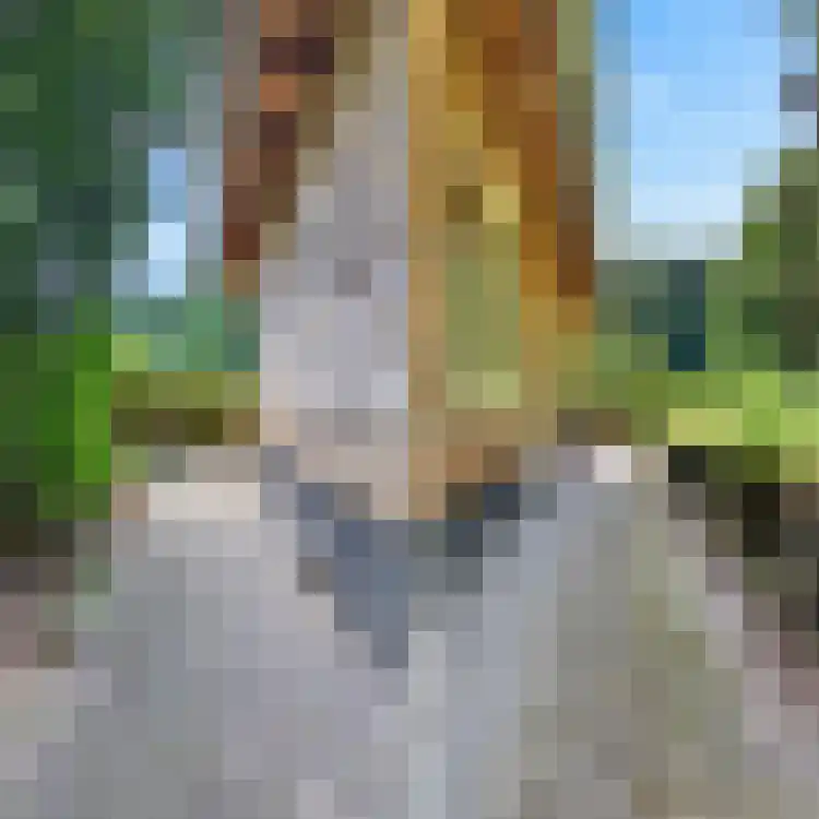 Rijksstraatweg 56 b Ubbergen thumbnail 30