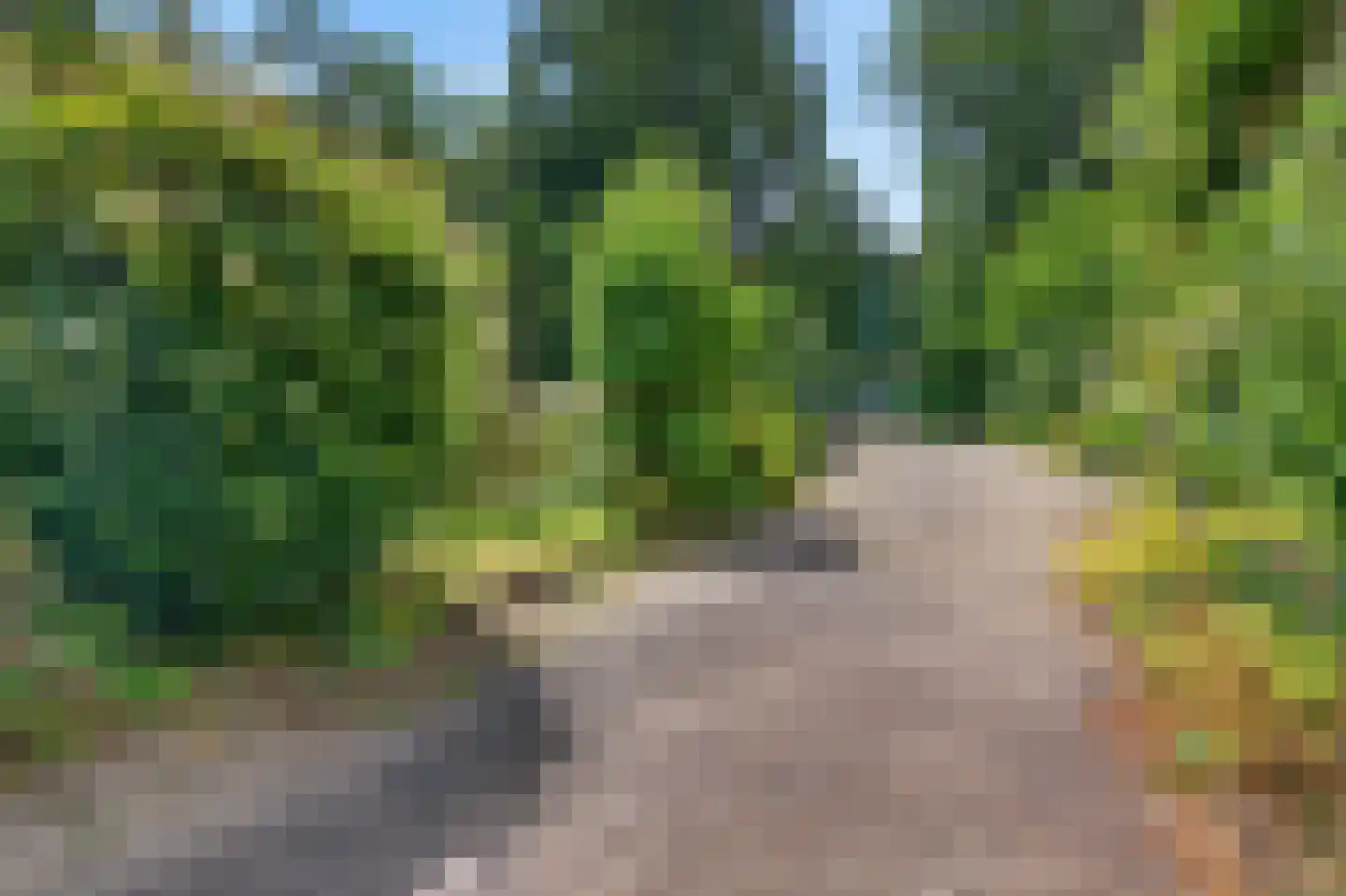 Rijksstraatweg 56 b Ubbergen thumbnail 39