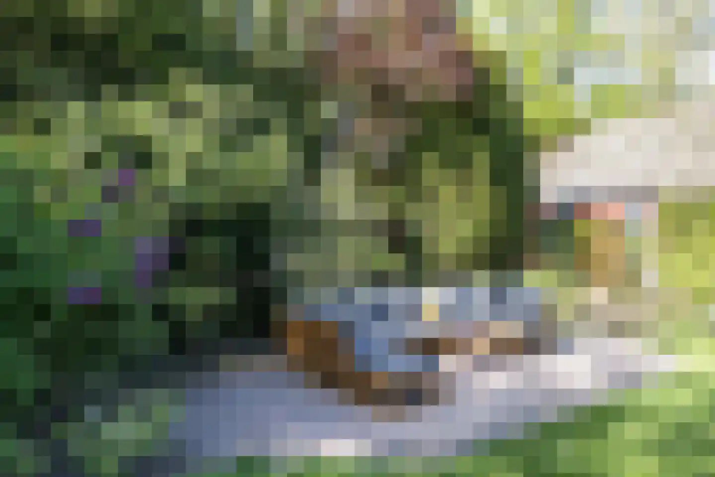 Rijksstraatweg 57 Warnsveld thumbnail 81