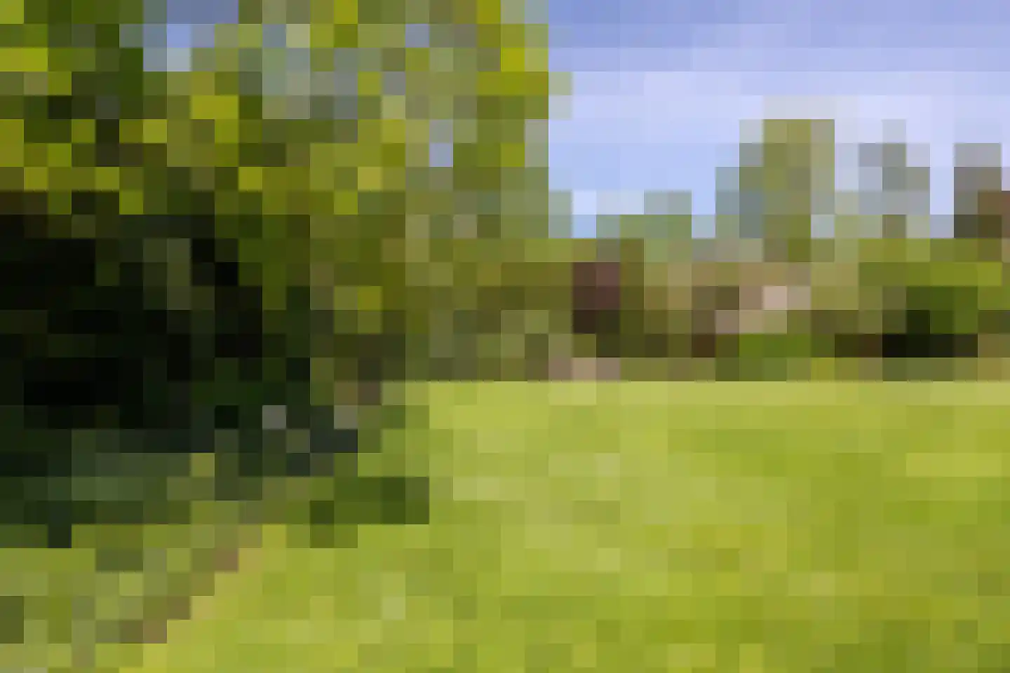 Rijksstraatweg 57 Warnsveld thumbnail 82
