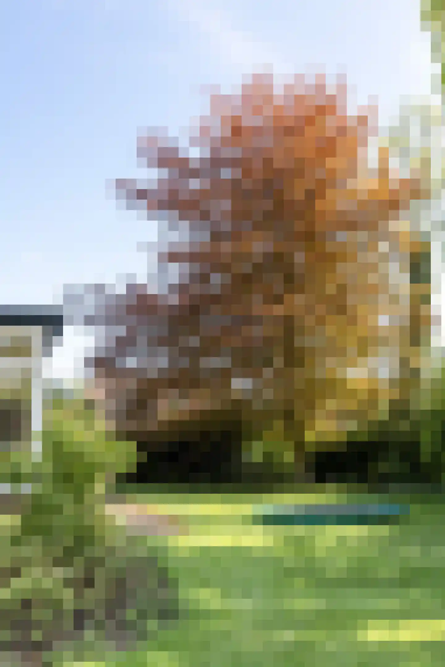 Rijksstraatweg 57 Warnsveld thumbnail 92