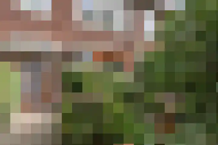 Rijksstraatweg 578 Haarlem thumbnail 7