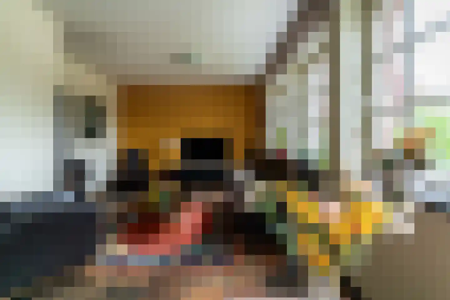 Rijksstraatweg 58 Sassenheim thumbnail 4