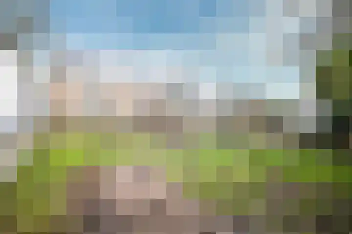 Rijksstraatweg 6 Vierpolders thumbnail 37