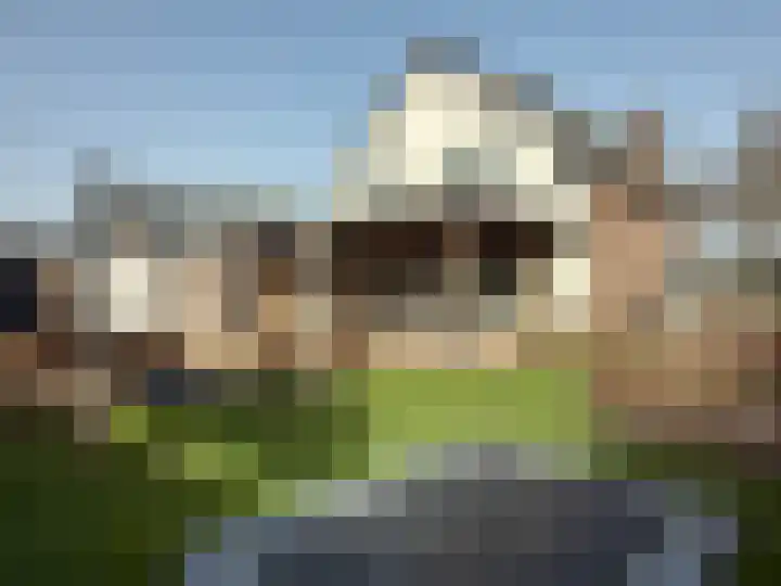 Rijksstraatweg 61 Leersum thumbnail 26