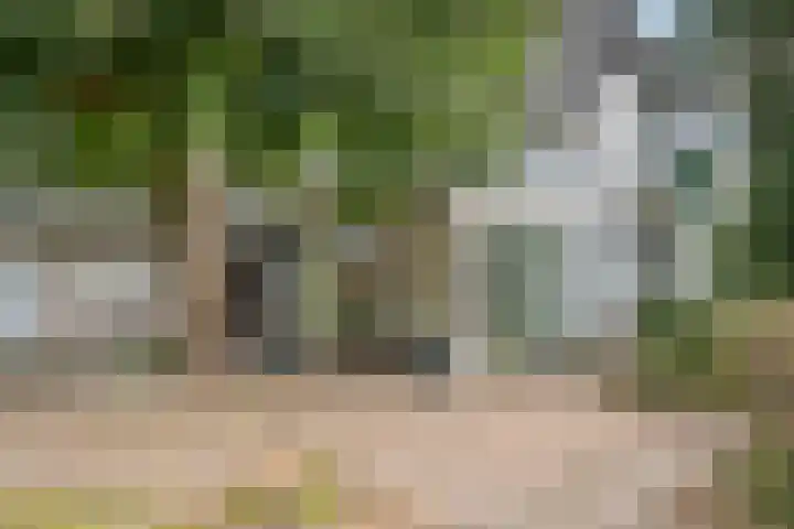 Rijksstraatweg 61 Meteren thumbnail 15