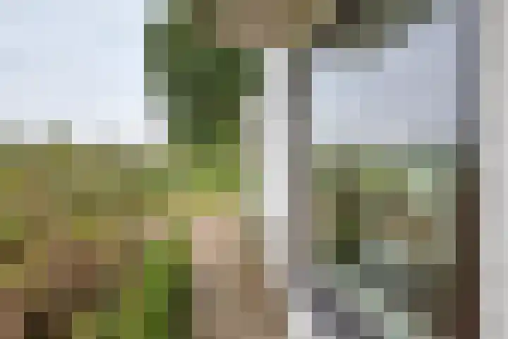 Rijksstraatweg 61 Meteren thumbnail 17