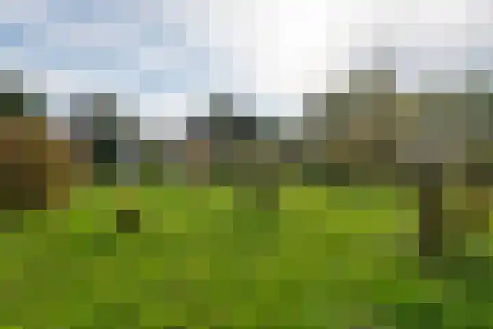 Rijksstraatweg 61 Meteren thumbnail 20