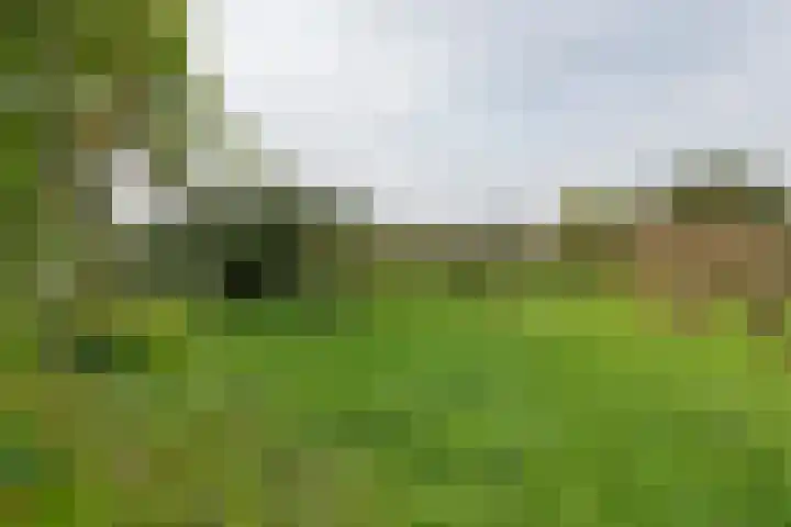 Rijksstraatweg 61 Meteren thumbnail 22