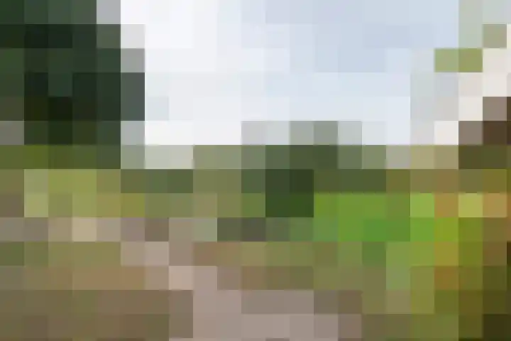 Rijksstraatweg 61 Meteren thumbnail 27