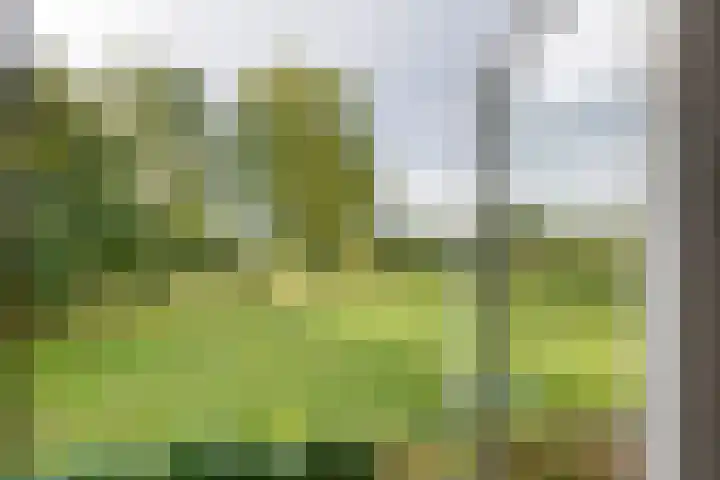 Rijksstraatweg 61 Meteren thumbnail 50