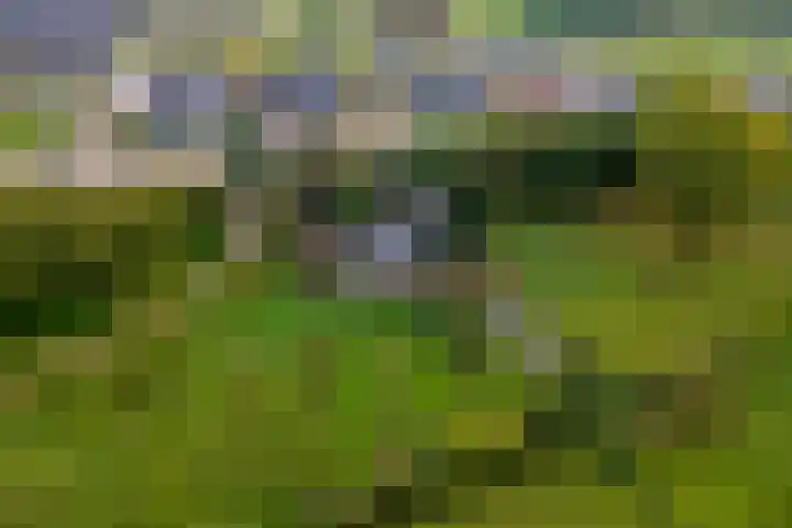 Rijksstraatweg 61 Meteren thumbnail 62