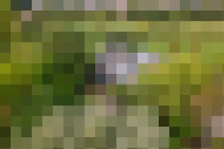 Rijksstraatweg 61 Meteren thumbnail 69