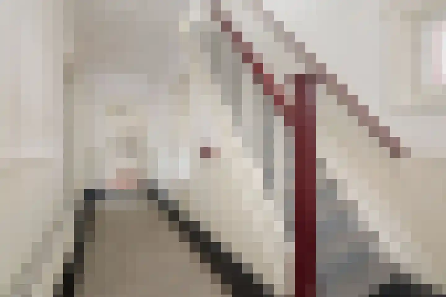 Rijksstraatweg 64 Wilp thumbnail 10