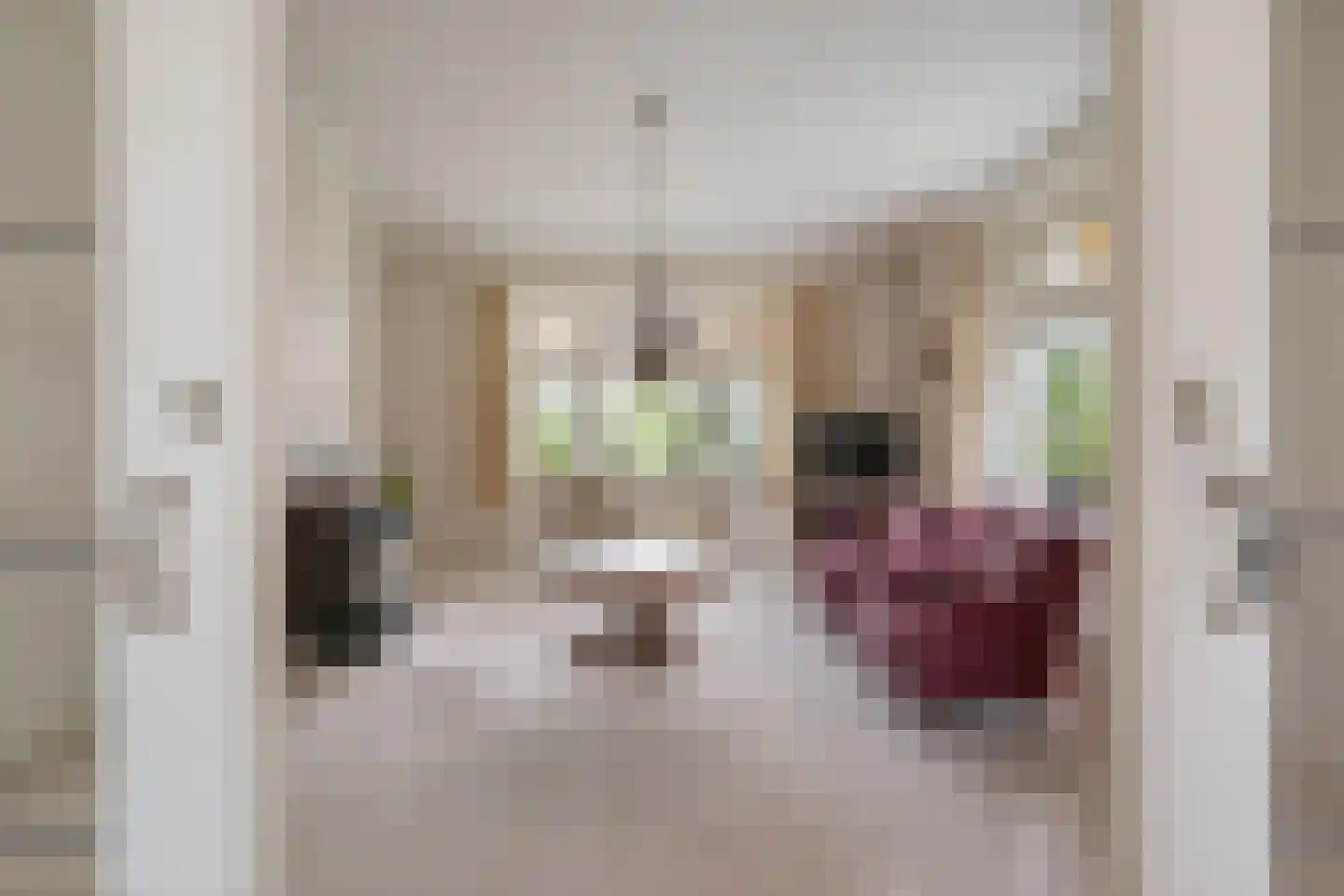 Rijksstraatweg 64 Wilp thumbnail 12