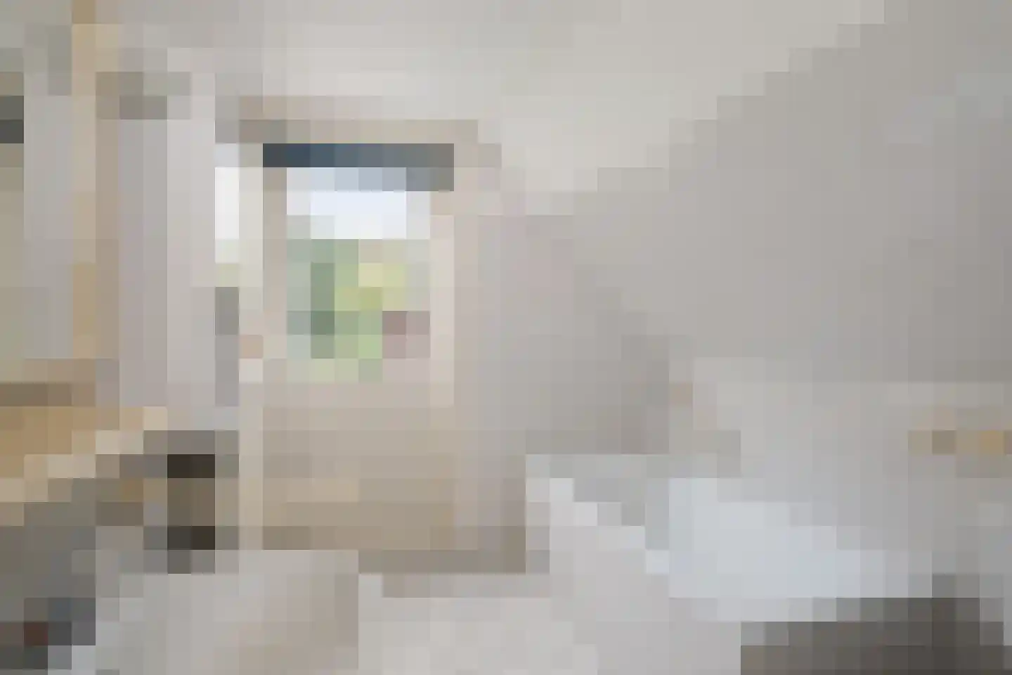 Rijksstraatweg 64 Wilp thumbnail 31