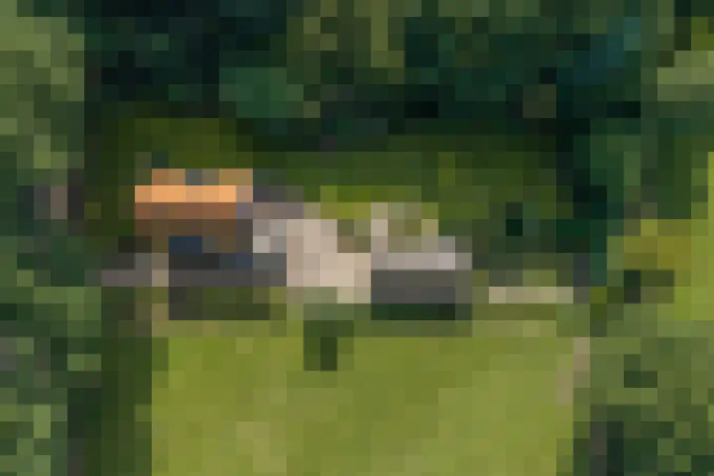 Rijksstraatweg 64 Wilp thumbnail 36