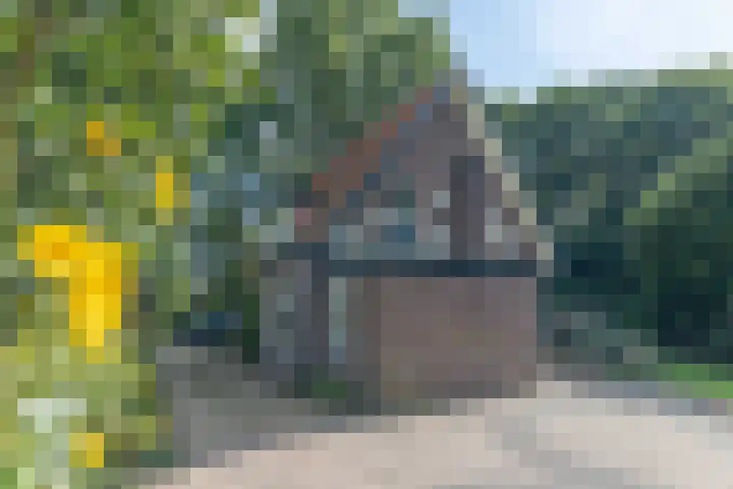 Rijksstraatweg 64 Wilp thumbnail 37