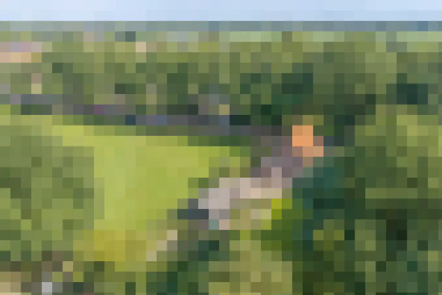 Rijksstraatweg 64 Wilp thumbnail 38