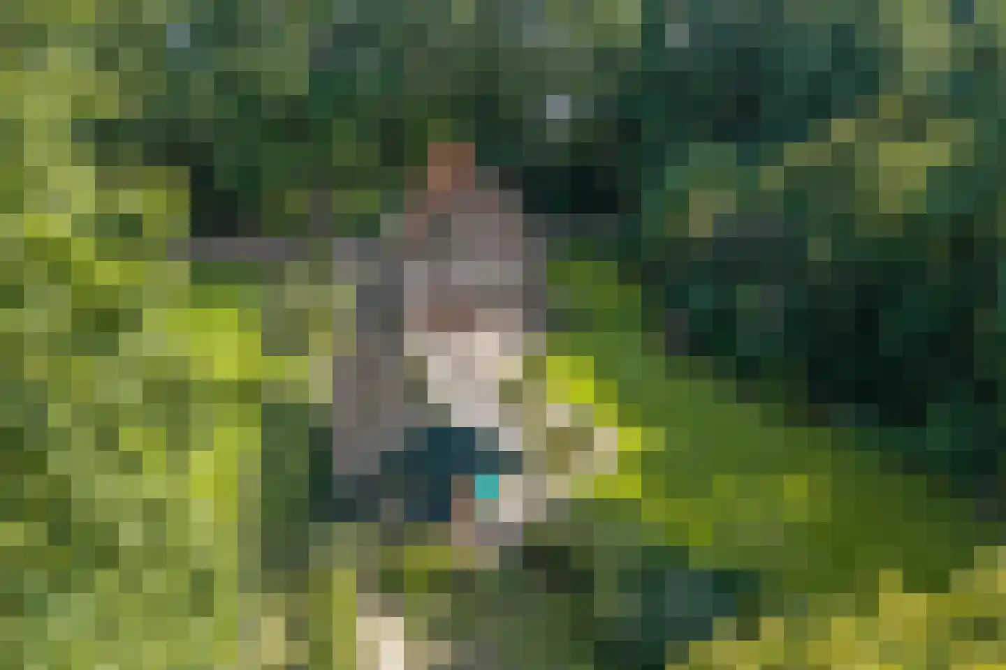 Rijksstraatweg 64 Wilp thumbnail 4