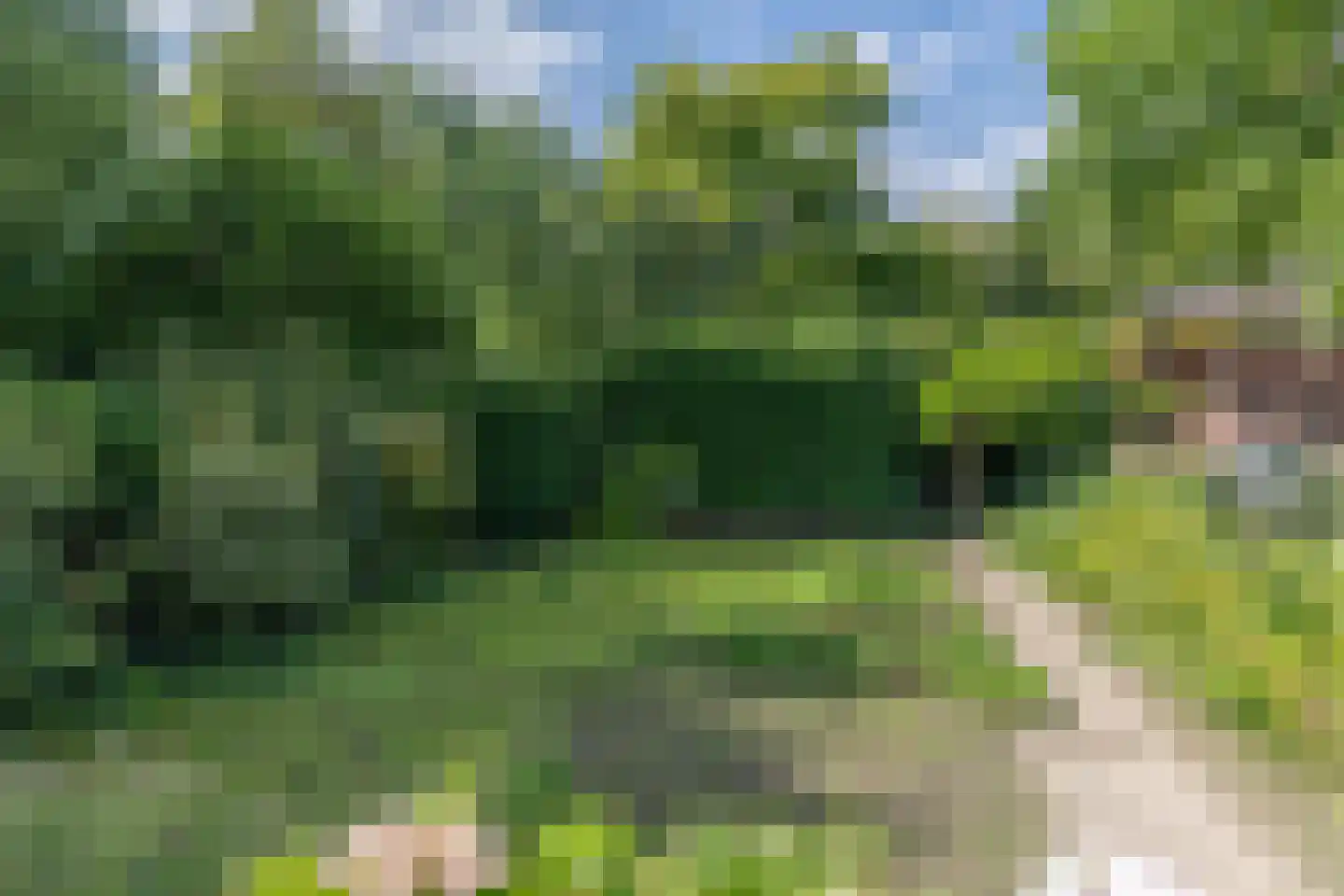 Rijksstraatweg 64 Wilp thumbnail 44