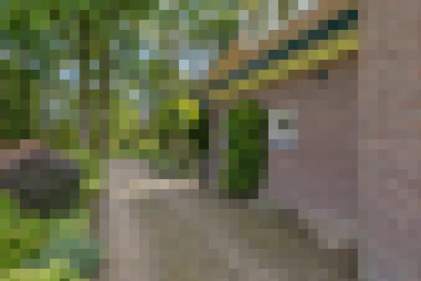Rijksstraatweg 64 Wilp thumbnail 45