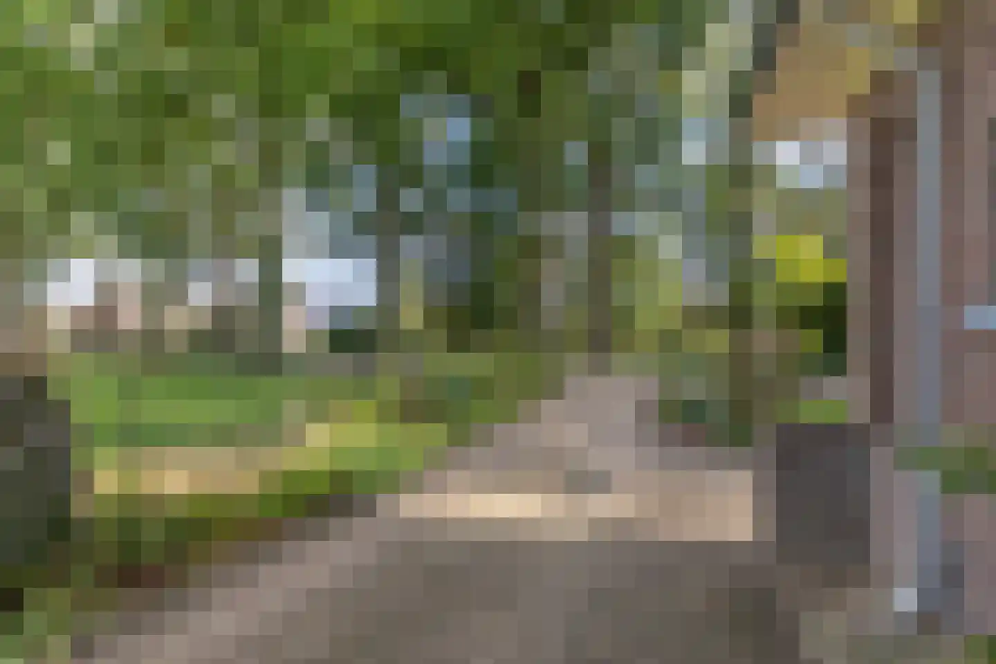 Rijksstraatweg 64 Wilp thumbnail 46
