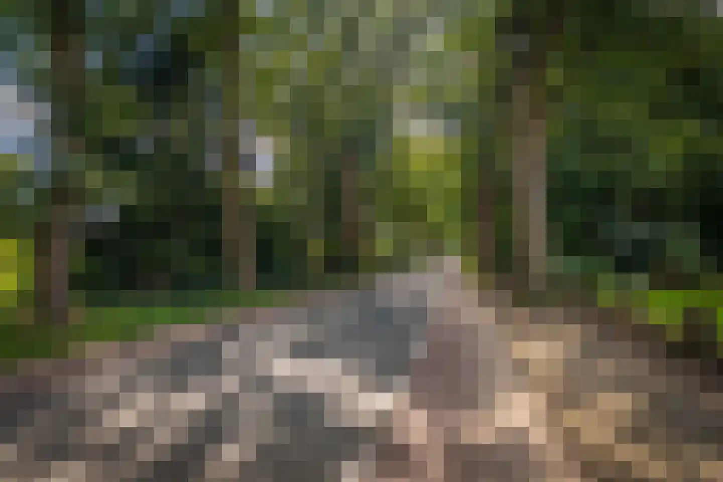 Rijksstraatweg 64 Wilp thumbnail 48