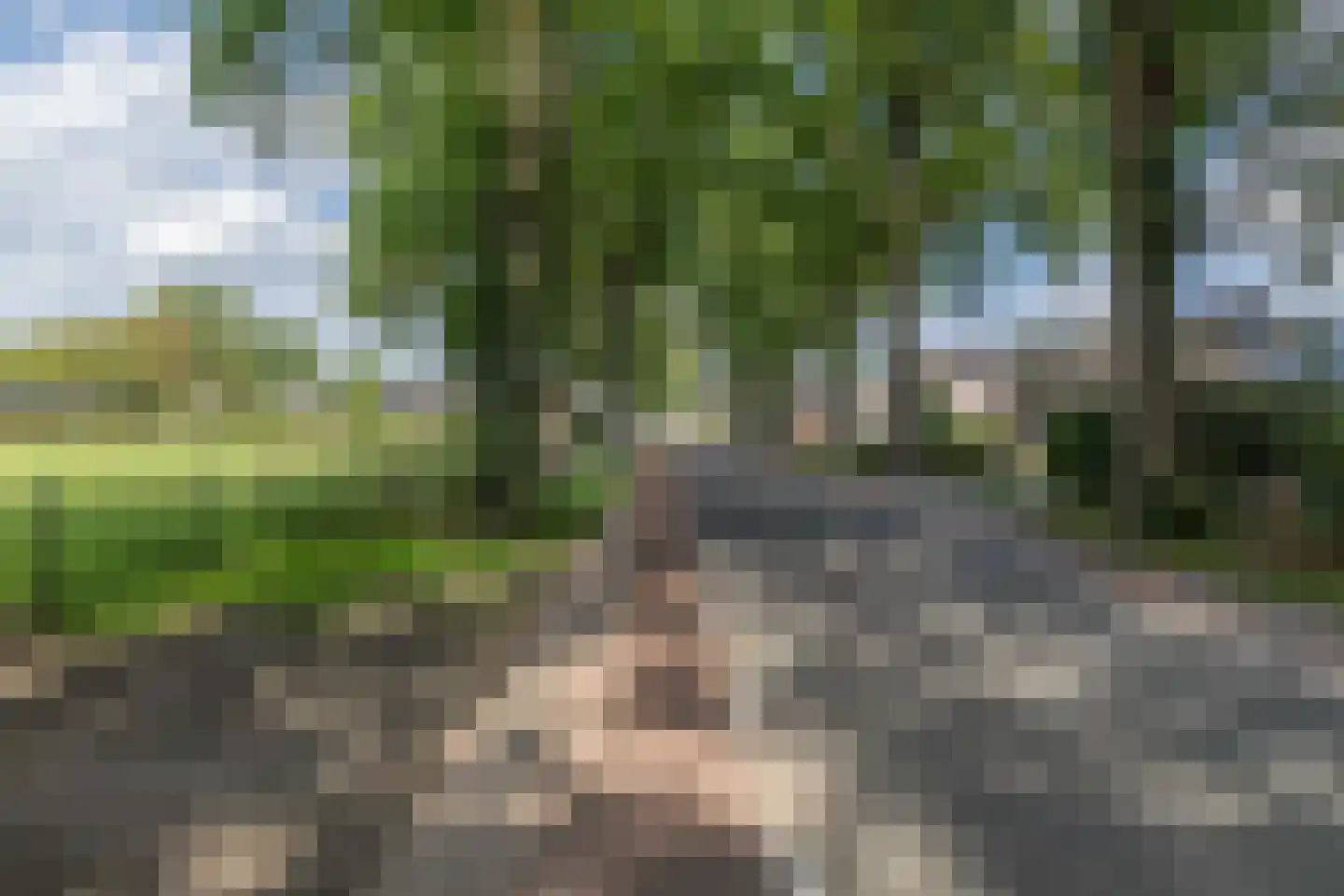 Rijksstraatweg 64 Wilp thumbnail 49