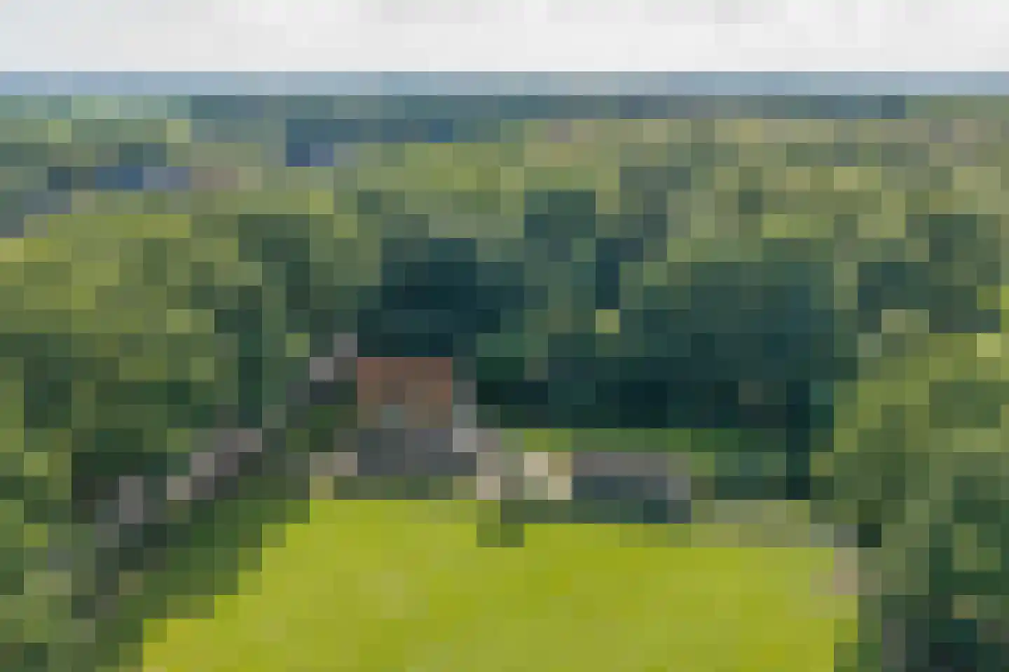 Rijksstraatweg 64 Wilp thumbnail 8