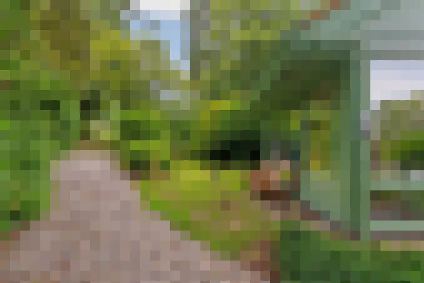 Rijksstraatweg 65 Beek thumbnail 56