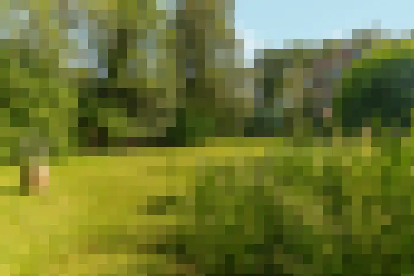 Rijksstraatweg 65 Beek thumbnail 60