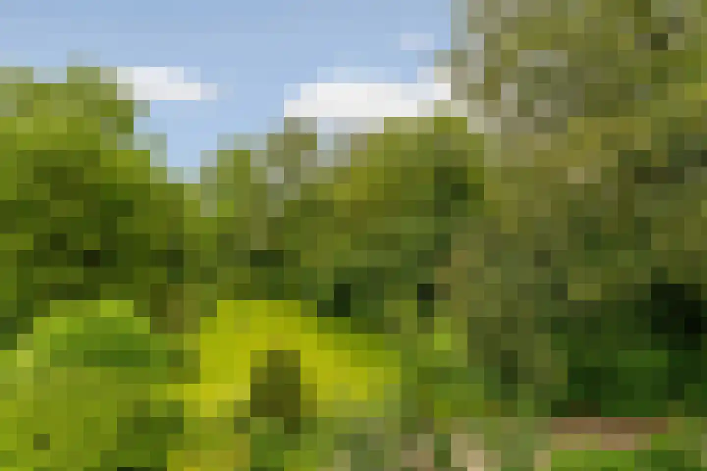 Rijksstraatweg 65 Beek thumbnail 61