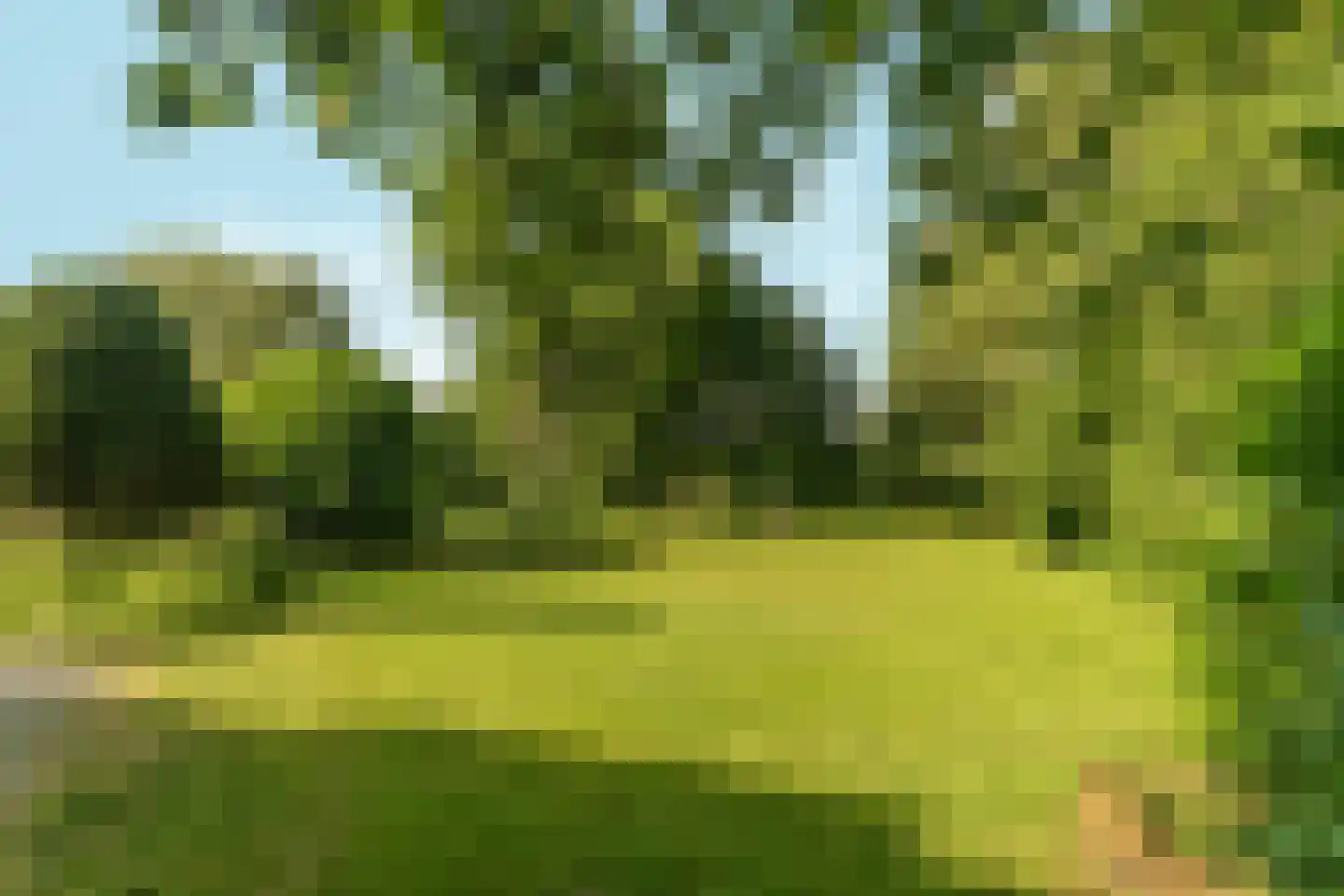 Rijksstraatweg 65 Beek thumbnail 62