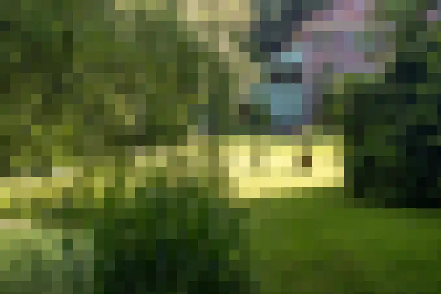 Rijksstraatweg 65 Beek thumbnail 64