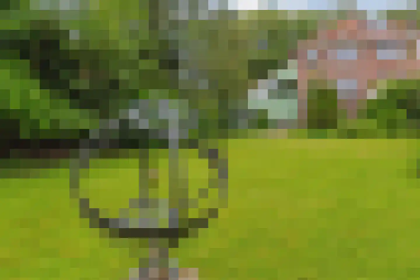 Rijksstraatweg 65 Beek thumbnail 68