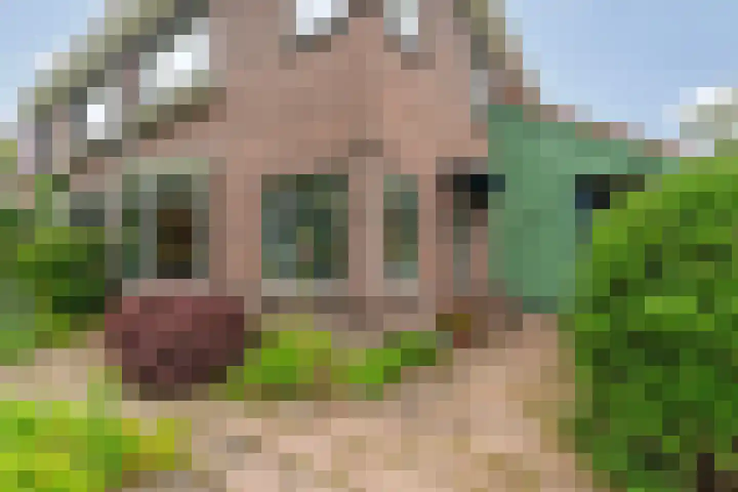 Rijksstraatweg 65 Beek thumbnail 7