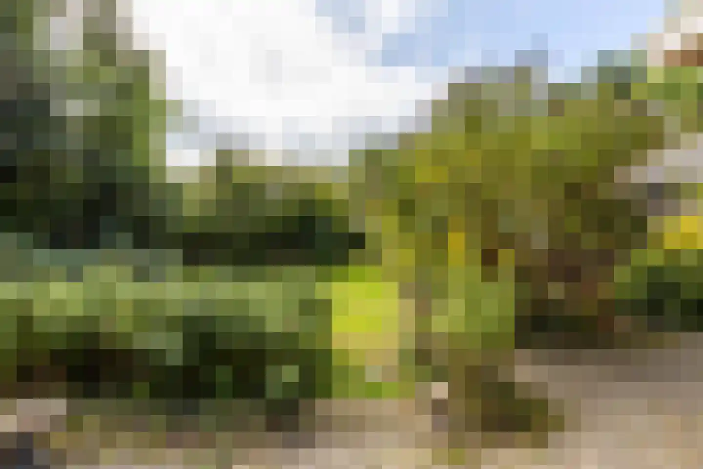 Rijksstraatweg 65 Glimmen thumbnail 35