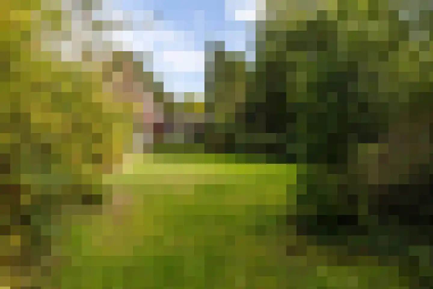 Rijksstraatweg 65 Glimmen thumbnail 36